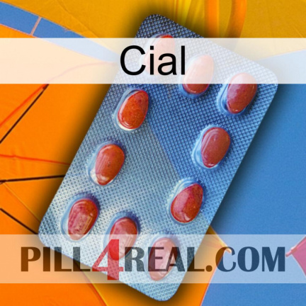 Cial 06